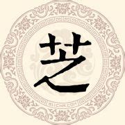 芝名字|芝姓の由来 起源 ルーツ